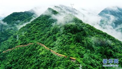 顆粒歸倉！各地開(kāi)展“雙搶”打贏(yíng)秋收“攻堅戰”