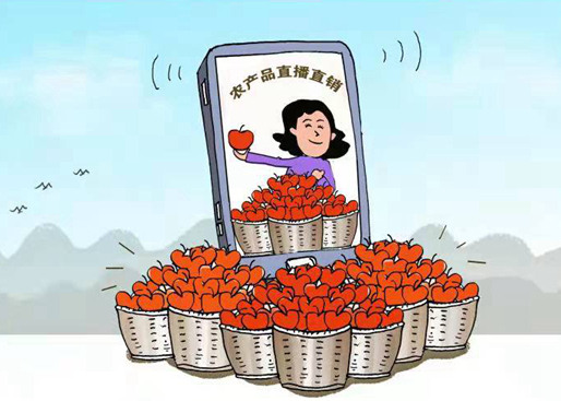 農村電商爆發(fā)式增長(cháng)難掩發(fā)展短板