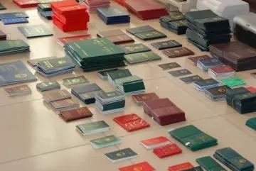 假證制售“線(xiàn)下轉線(xiàn)上” 亟待進(jìn)一步打擊懲治