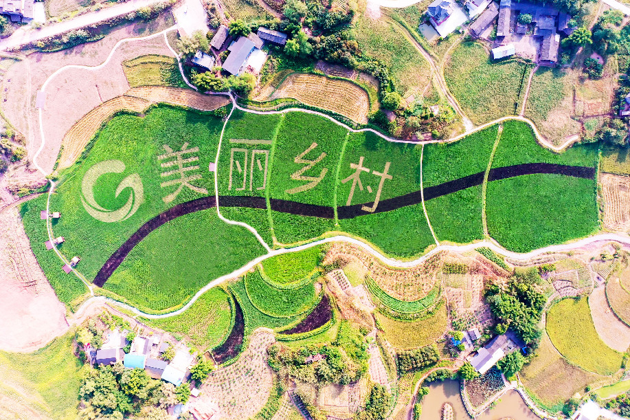 讓鄉村“既有看頭又有賺頭”——一家央企的“重農興旅”實(shí)踐