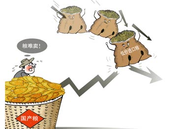“三高”重壓拷問(wèn)中國糧食安全