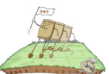 國產(chǎn)種業(yè)緣何難育創(chuàng  )新“種”